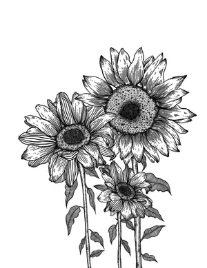 Sunflowers - A3 Print