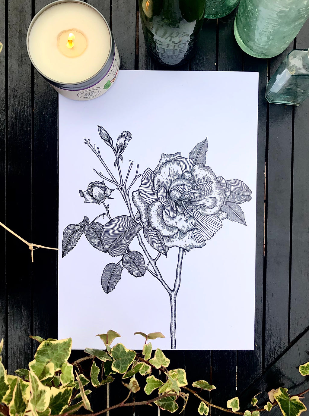 Rose - A4 Print