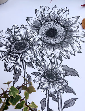 Sunflowers - A3 Print