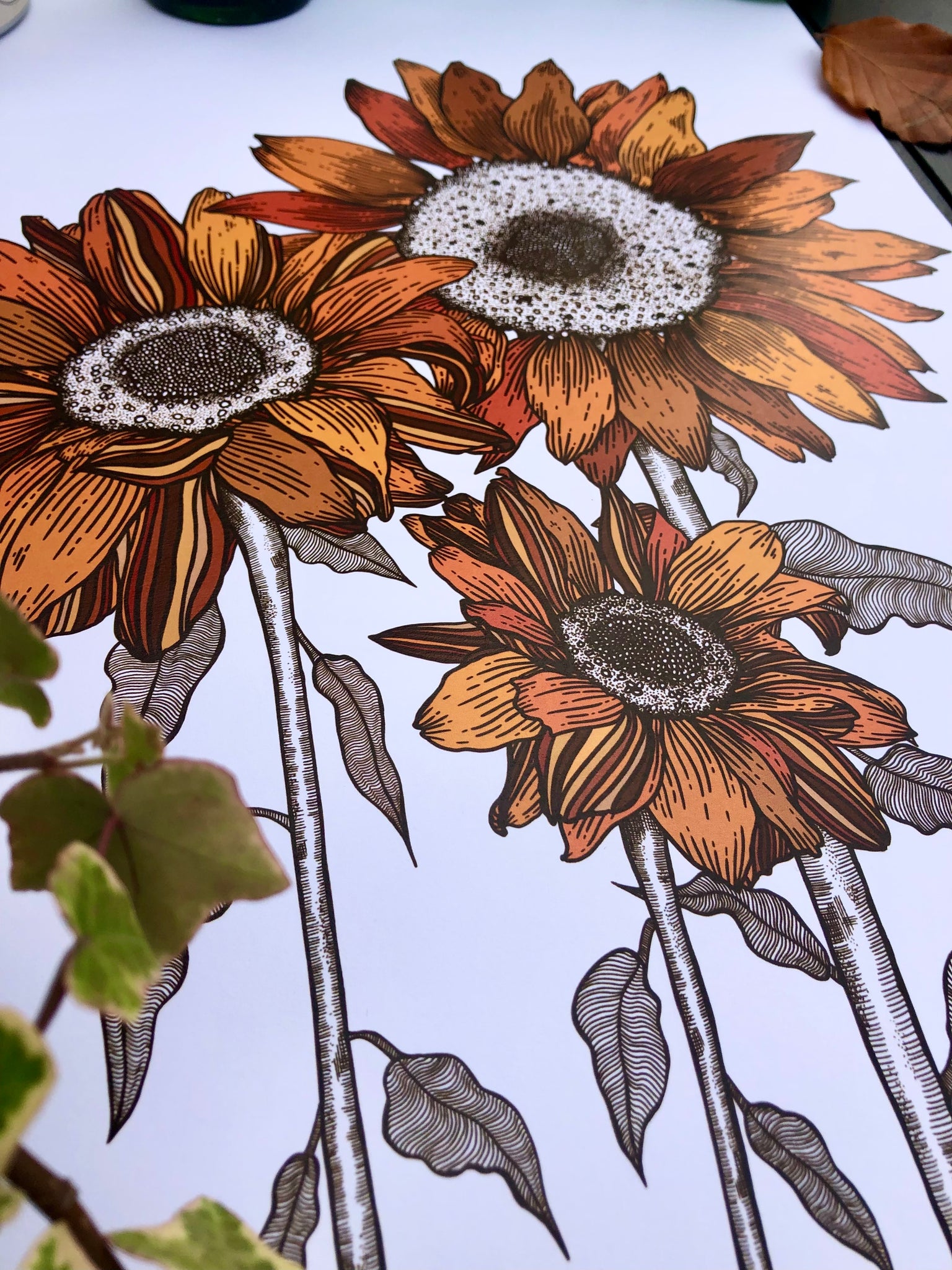 Drawing a sunflower 🌻 #drawing #art #artist #arte #sketch #pencildraw... |  TikTok